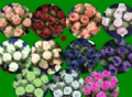 Mini Rose Buds