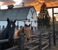 Yellowstone - Dutton Ranch barn - Premium Diamond Painting - Square - 70x70 - Free Shipping