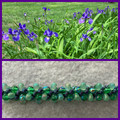 Lupine Necklace Kit - Iris in the Grass