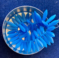 Daggers - Medium Blue 