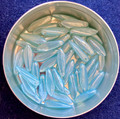 Daggers - Shimmer Blue Aqua