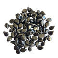 Pips - Black