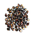 Pips - Black with Copper Spots
