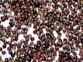 Seeds 8° Magic Wine