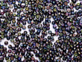 Seeds 8° Magic Blue