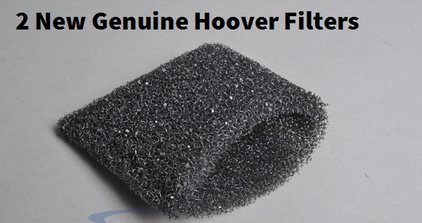 Hoover Filter 04 2 filters Genuine Hoover. 