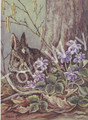 Brown Bunny in Forest (8.5x11.5)