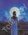 Moonlight Fantasy (8x10)