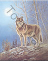 Lone Wolf (16x20)