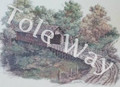 Kit of Briar Hollow Covered Bridge (20x16)(1 drymounted & 9 addnl prints)