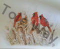 Cardinals Kit (16x20)(1 mounted & 9 additional prints).