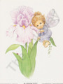 Blossom Tot Fairy Iris (6x8)