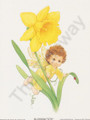 Blossom Tot Fairy Daffodil (6x8)