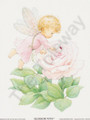 Blossom Tot Fairy Rose (6x8)