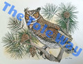 Owl by Lynn Bean.