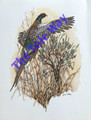 Pheasant (8x10)