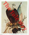 Bald Eagle with Flag (8x10)