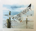 Sea Gulls Over Water (5x6)