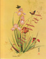 Irises and Butterflies (8x10)