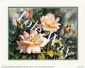 Peach Roses (8x10)