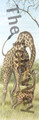 Mama Giraffe and Baby (8x20)