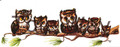 7 Owls (4x10)