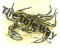 Crab (4x5)