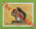The Gray Squirrel (8x10)