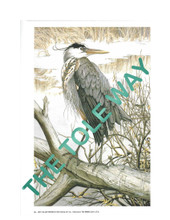 Blue Heron by Stoehsler.