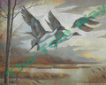 Fly High Pintail Ducks (8x10)