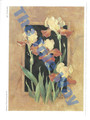 Framed Irises (6x8)