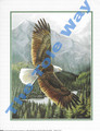 Eagle in Flight (8x10)