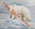 Polar Bear Kit (16x20) (1 mounted + 11 addnl' prints)