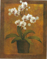 Orchids (8x10)