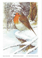 Painted (robin) 4.5x6.5