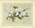 Magnolia Flowers (8x10)