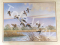 Canada Geese 22x28