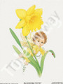 Daffodil Fairy 97 (4x5)