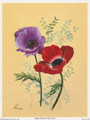 Poppy Anemone by Reina 157 (6x8)
