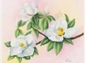 Magnolias II by Reina (8x10)