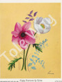 Poppy Anemone by Reina 167 (4x5)