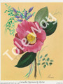 Camellia Japonica by Reina 169 (4x5)