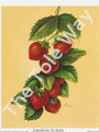 Strawberries by Reina 175 (4x5)
