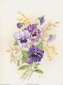 Purple Pansies (8x10)