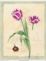 Botanical Tulips II (8x10)