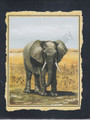 Elephant (8x10)