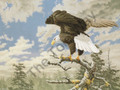 Eagle's Domain (16x20)