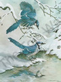 Blue Jay in Winter (16x20)