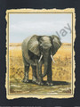 Elephant (16x20)