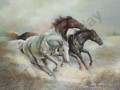 Wild Horses (8x10)
